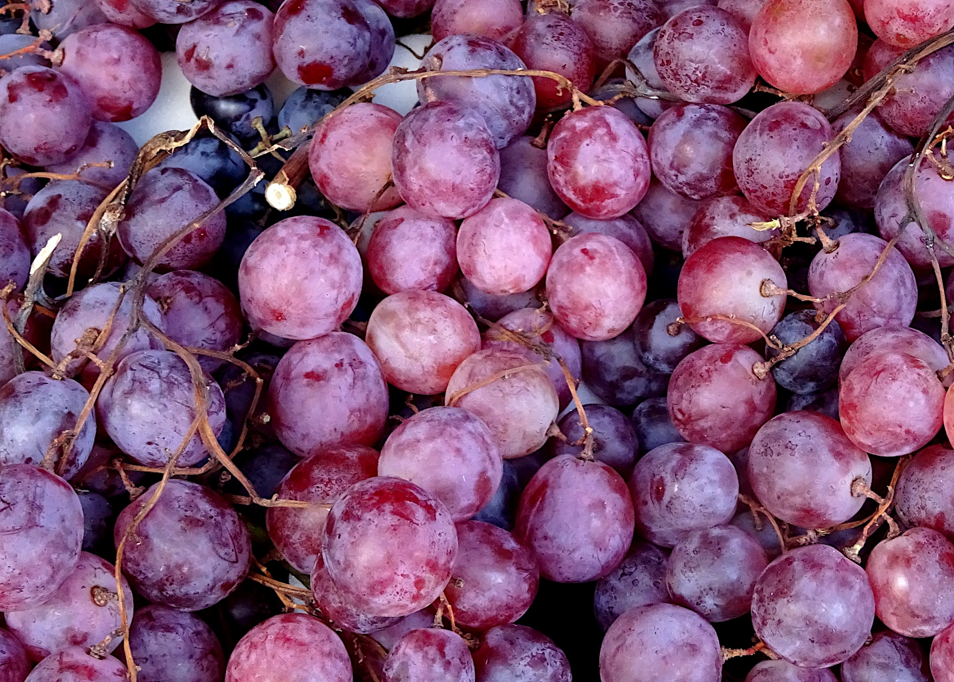 Juicy Grapes Background