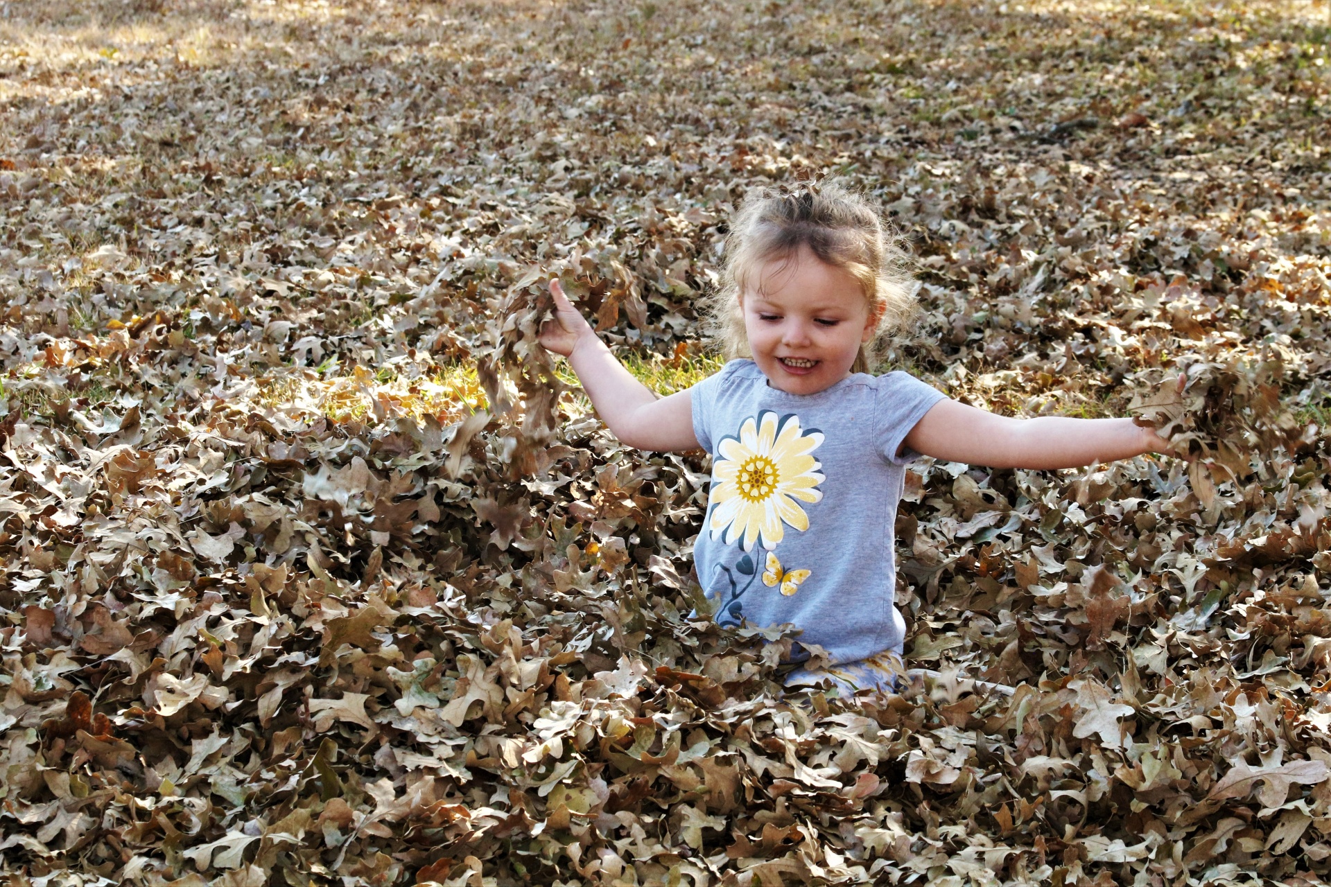 Little Girl Playing In Leaves