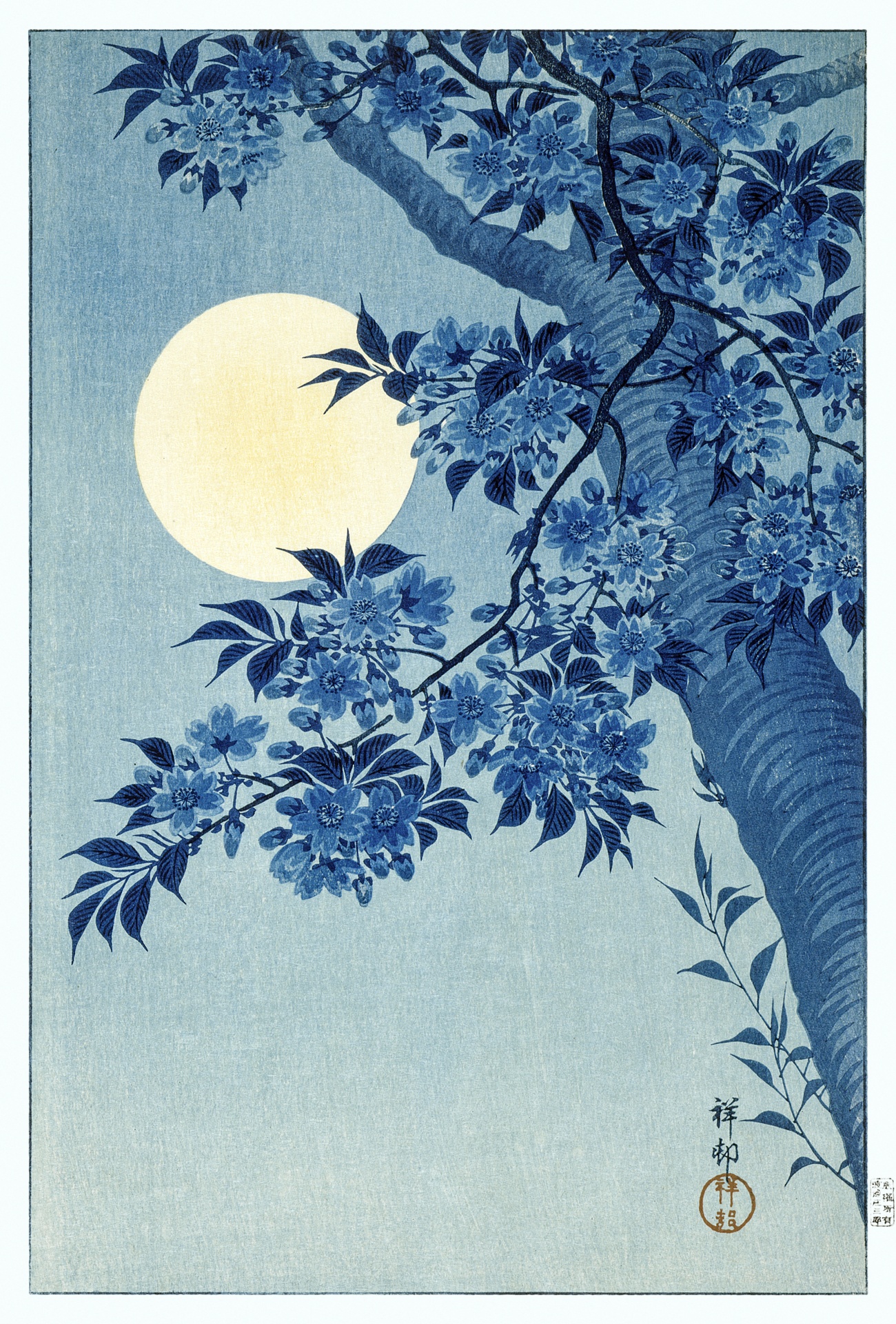 Moon Tree Branch Leaves Art Vintage Japan China Chinese Japanese Nature Publik Domain 18th 19th Century Vintage 1900 Old Antique Illustration Painted Painting Poster Print