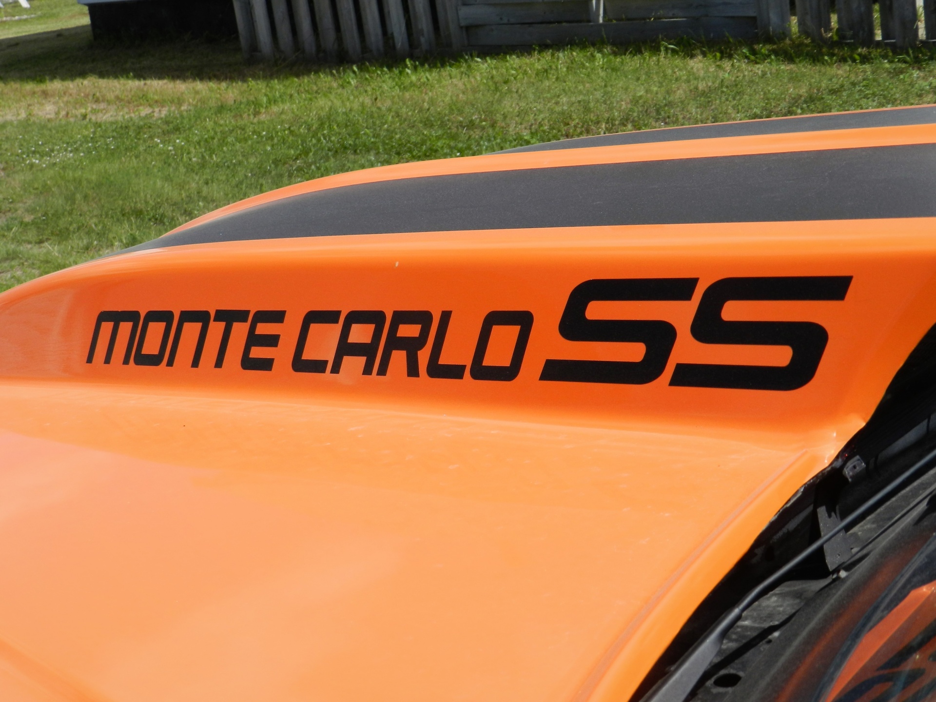 Monte Carlo SS - 001