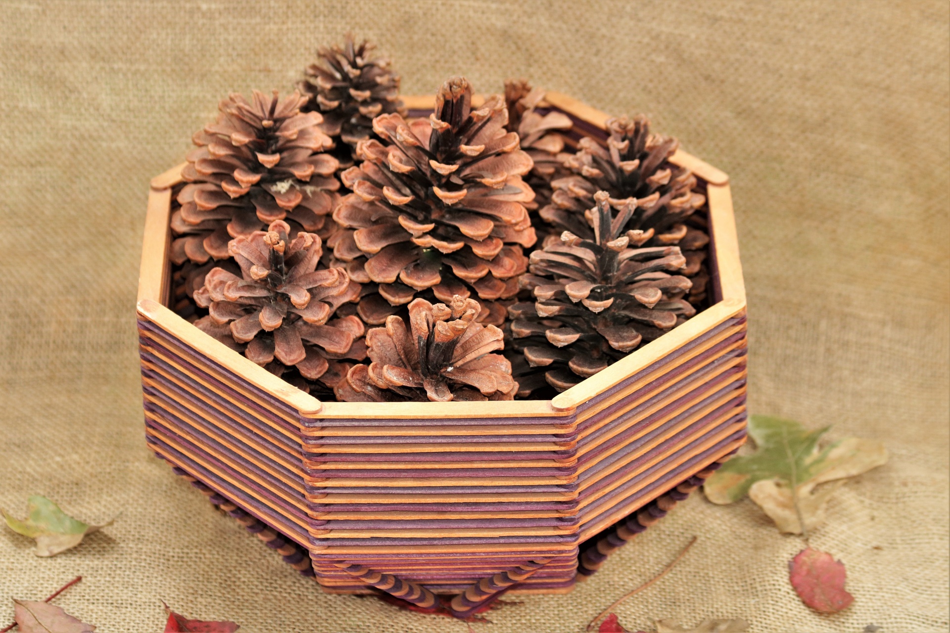 Pine Cones In Basket