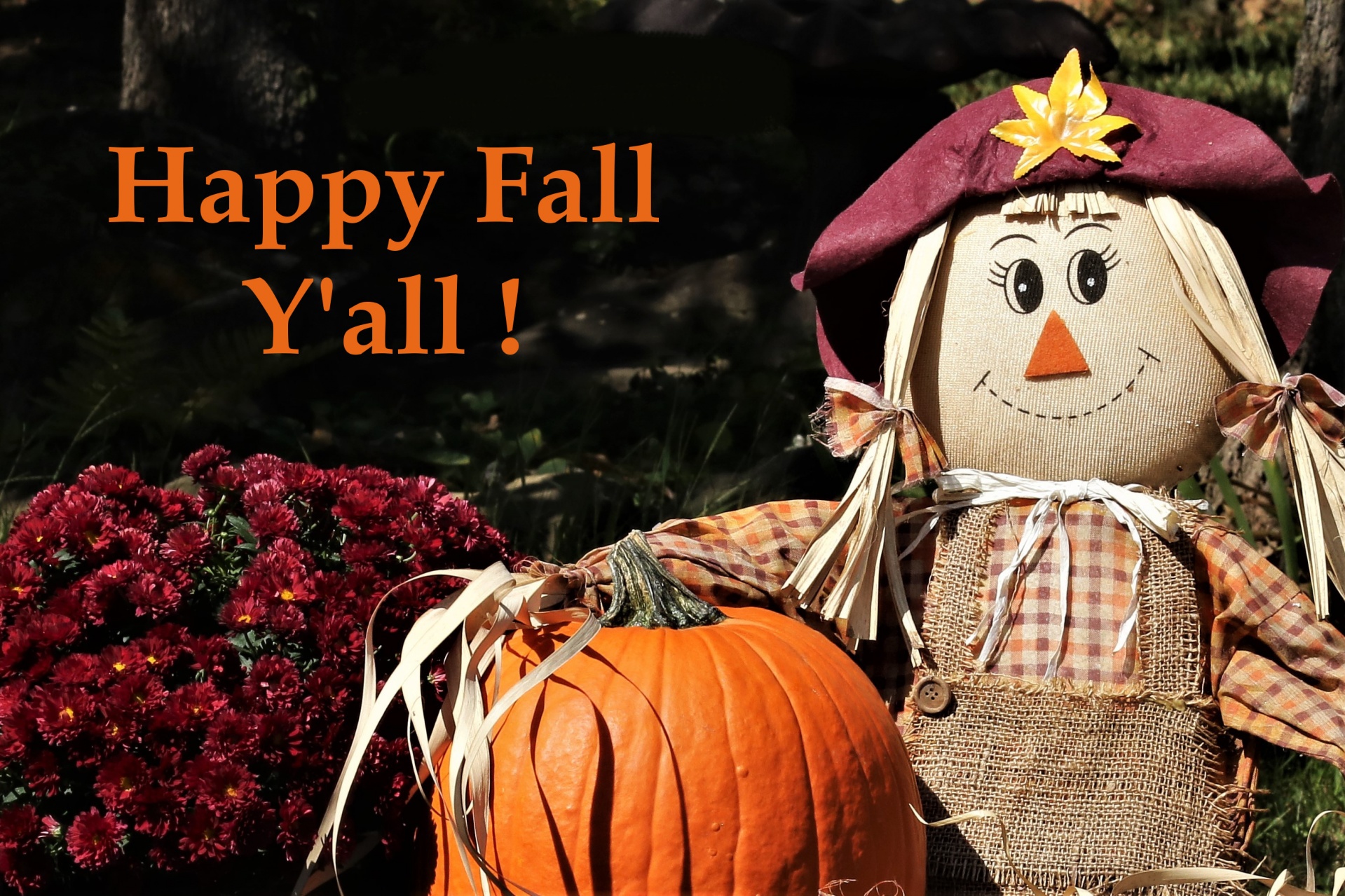 Close-up of a cute smiling girl scarecrow, beside a large orange pumpkin and red chrysanthemum flowers, with the text Happy Fall Y'all.