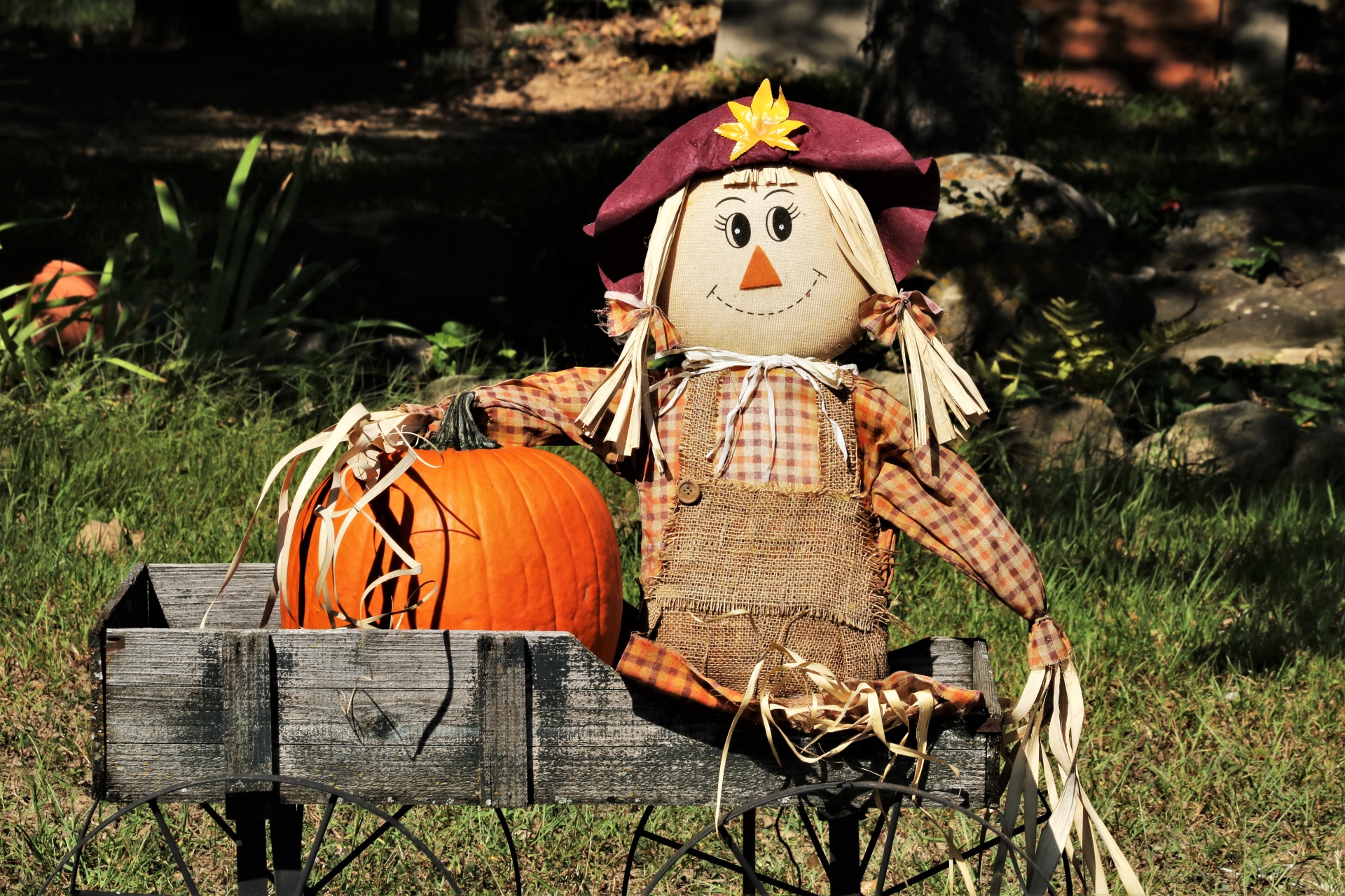 Scarecrow And Pumpkin In Cart 2