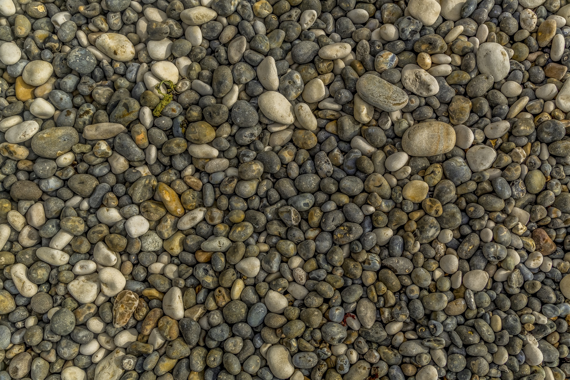 Shiny Wet Pebbles On Ocean