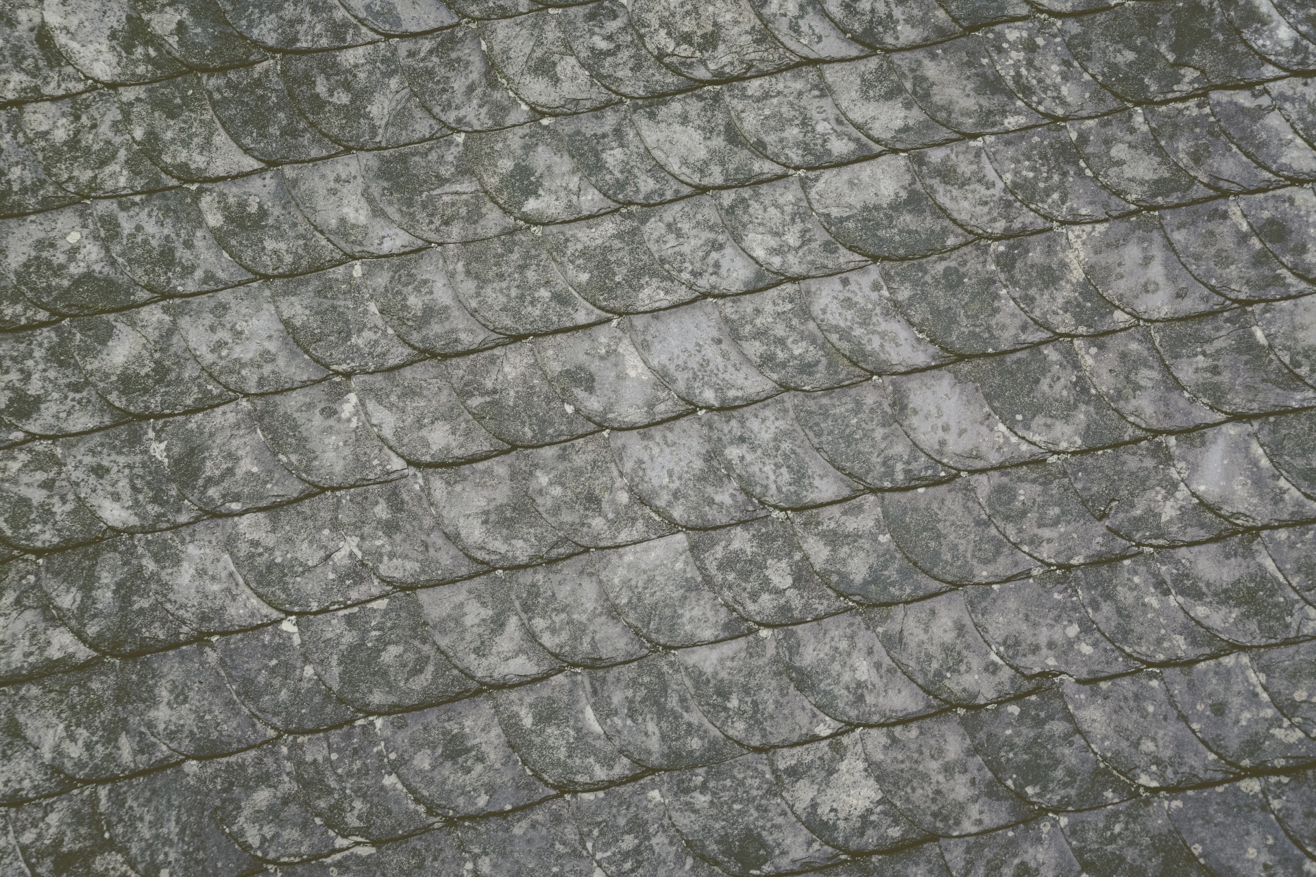 Aged natural slate roof tiles background image