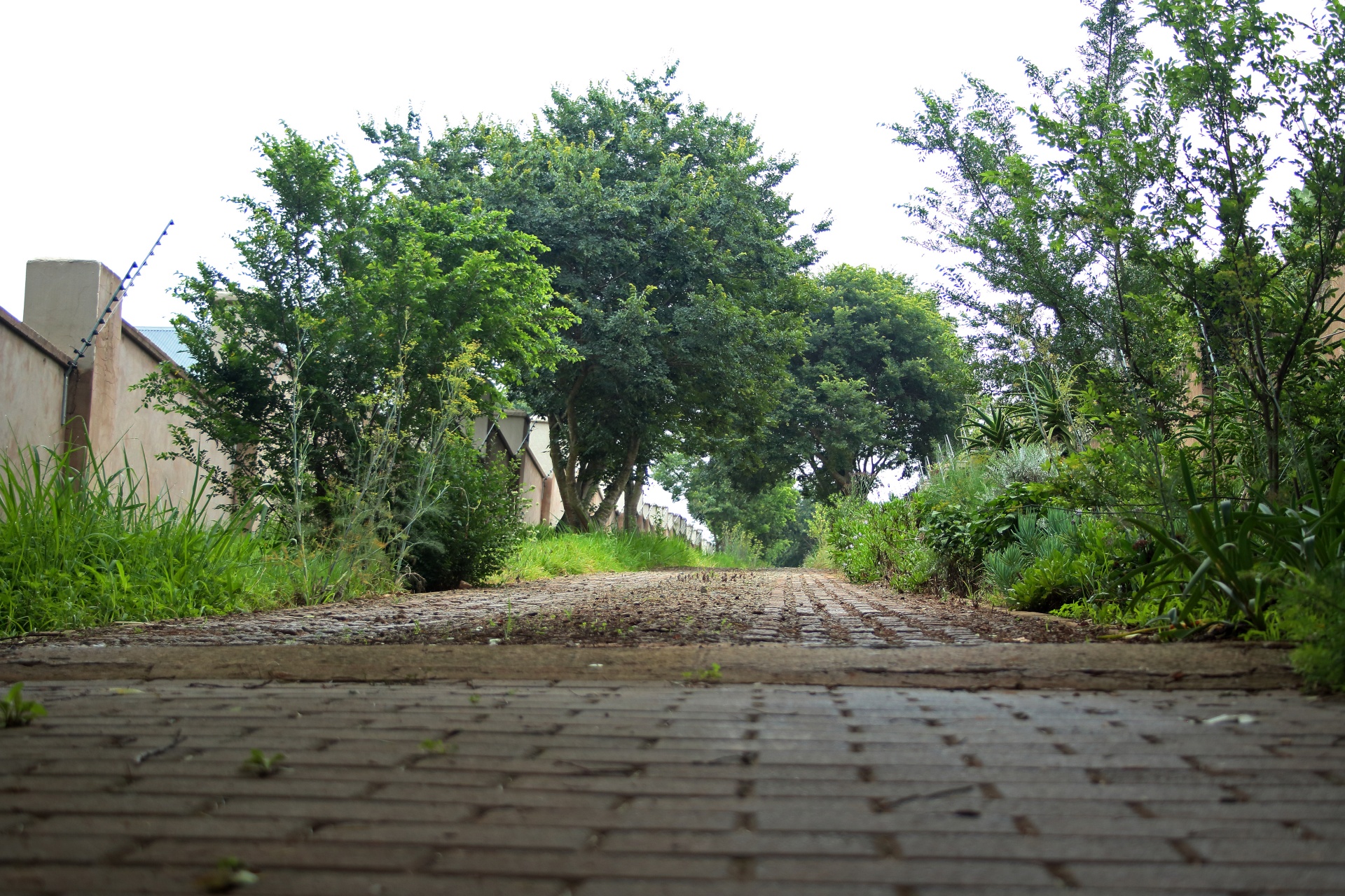View Of Uphill Cobbled Road