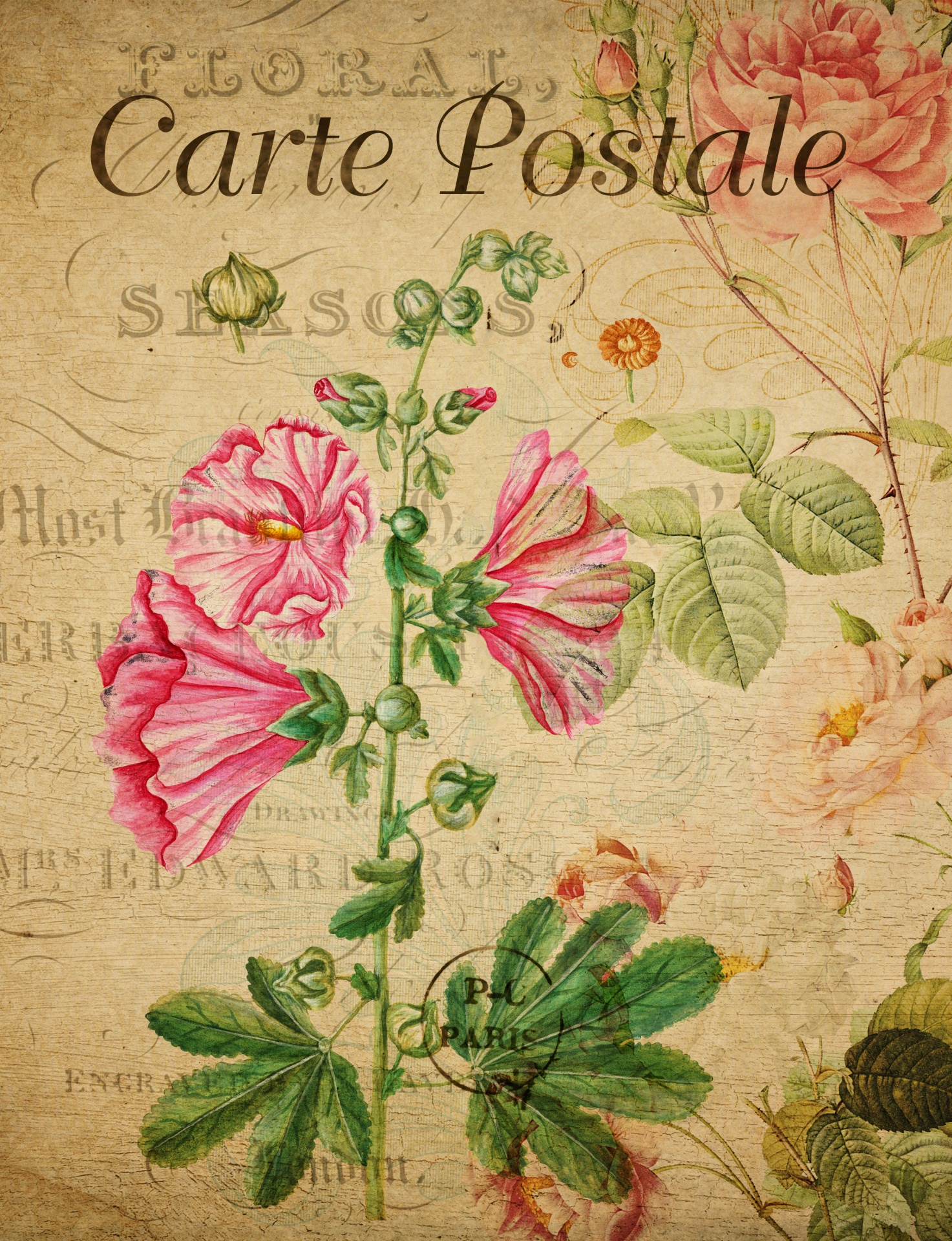 Vintage Floral French Postcard