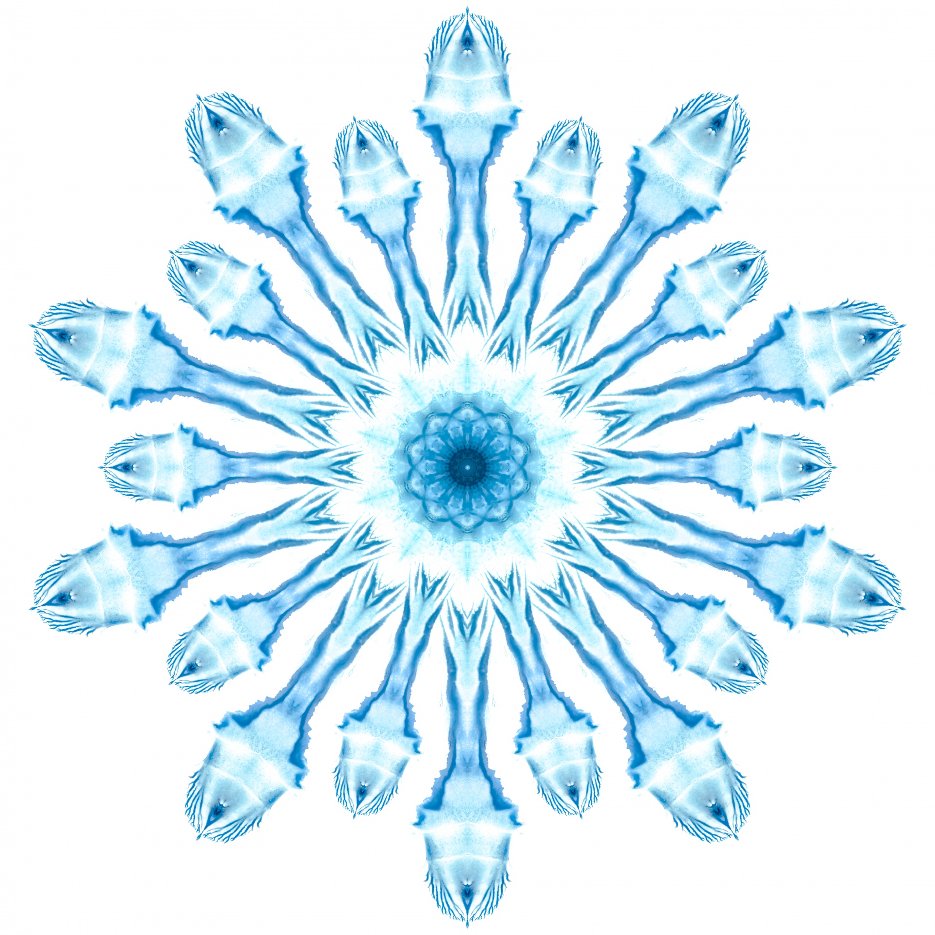 Watercolor Snowflake
