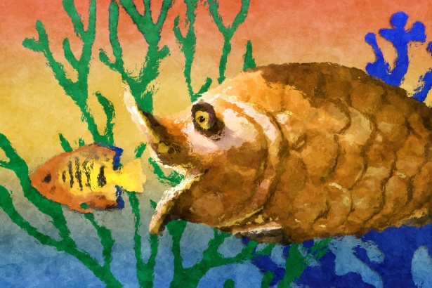 Metafora del pesce grande pesce piccolo Immagine gratis - Public Domain  Pictures