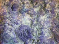 Abstract Texture Background Grunge