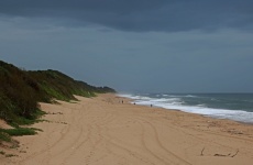 Beach Alongside The Indian Ocean