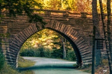 Bridge In Acadia National Park