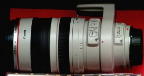 Canon 100-400mm EF Lens