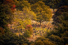 Cemetery In Fall
