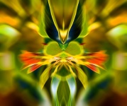Colourful Blur Design With Foliage