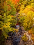 Creek In Fall