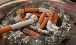 The Scent Of The Last Cigarette