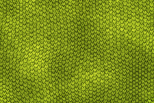 Dragon Skin Green Background