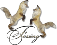 Foxing Two Fox Dancing Art