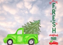 Green Christmas Truck