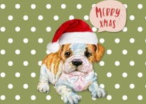 Pug Puppy Christmas Card
