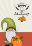 Thanksgiving Gnome