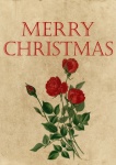 Christmas Card Rose Vintage