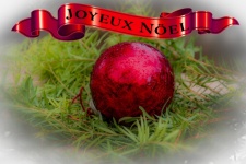 Christmas Card Joyeux Noel