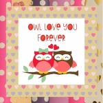 Owl Valentine&039;s Day Card