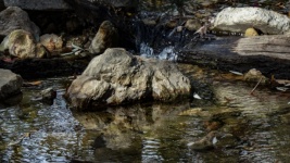 Stream Rocks Reflection