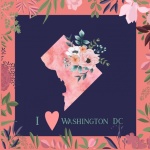 I Love Washington DC Poster