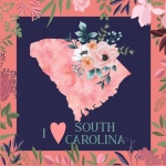 I Love South Carolina Poster