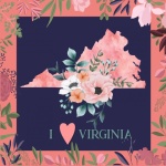 I Love Virginia Poster