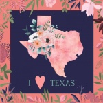 I Love Texas Poster