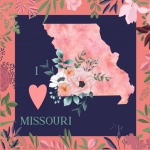 I Love Missouri Poster