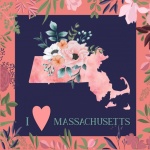 I Love Massachusetts Poster