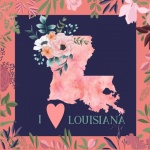 I Love Louisiana Poster