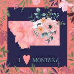 I Love Montana Poster