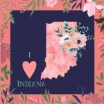 I Love Indiana Poster