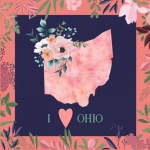 I Love Ohio Poster