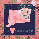 I Love Connecticut Poster