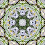 Green Wing Kaleidoscope