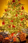 Lit Christmas Tree