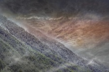 Misty Forest With Dramatic Sky
