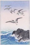 Seagulls Birds Sea Vintage