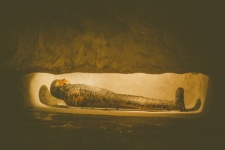 Mummy In A Museum