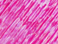 Pink Abstract Of Corrugated Iron