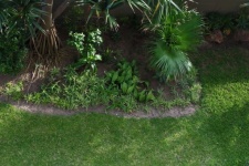Plants In Garden With Curved Lawn