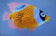 Funny Fish 5