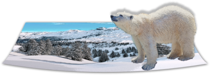 Polar Bear On Snow 3d